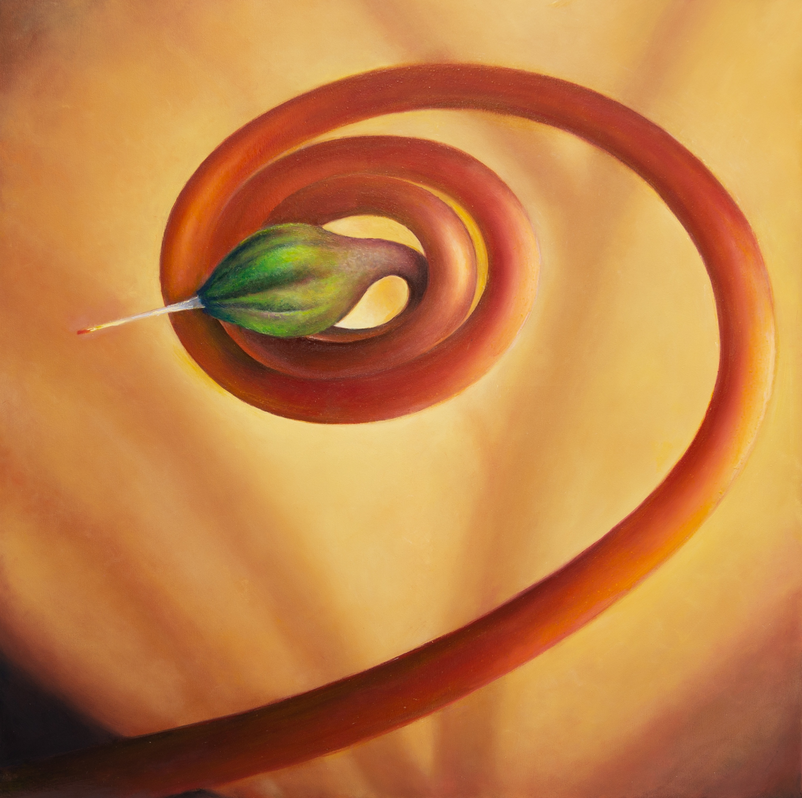 Spira Mirabilis